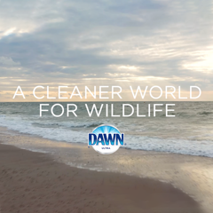 A Cleaner World for Wildlife  - Dawn (P&G) with M Booth, International Bird Rescue, The Marine Mammal Center