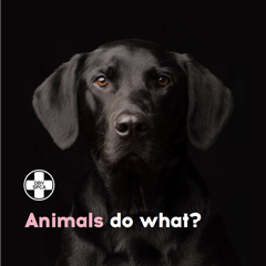 Animals do what? - NSPCA with Razor / M&C Saatchi Abel 