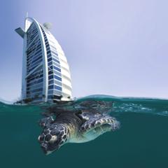 Back home to the seas - Jumeirah Group with Asda'a BCW with Markettiers and Tactical