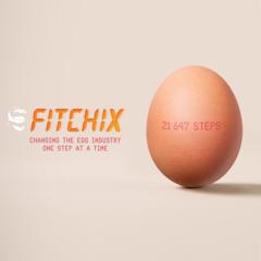 Honest Eggs Co. Fitchix - Honest Eggs Co. with BCW Australia 