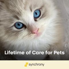 Lifetime of Care for Pets - Synchrony with The Harris Agency