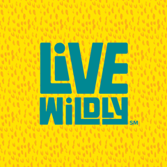 Live Wildly - Live Wildly Foundation with Subject Matter
