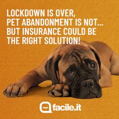 Lockdown is over, pet abandonment is not - FACILE.IT with INC Istituto Nazionale per la comunicazione