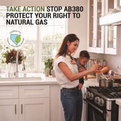 Overcoming A Counter-Productive Natural Gas Ban - Southwest Gas with Davies Public Affairs