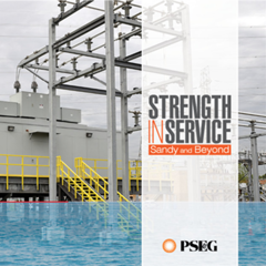 Strength in Service: Sandy & Beyond - Public Service Electric & Gas Co. (PSE&G) with The Harris Agency