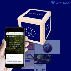 The Atruvia Cube - Atruvia with Ressourcenmangel