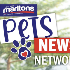 The Pet's News Network (PNN) - Marltons  with Razor (M&C Saatchi Group SA) 