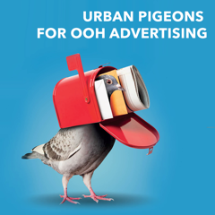 Urban pigeons for OOH advertising - JCDecaux with Next9 Communications 
