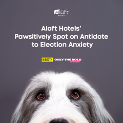 Aloft Hotels’ Pawsitively Spot on Antidote to Election Anxiety - Marriott International with M Booth