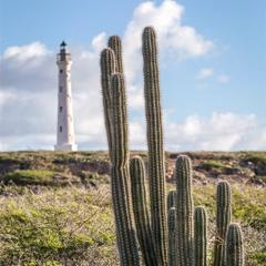 Aruba Redefines Tourism, Responsibly - Aruba Tourism Authority with Zeno Group, Deep Focus