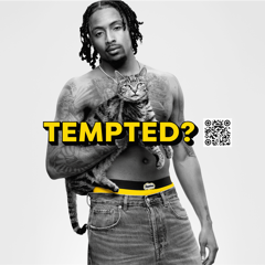 Cat Dads - TEMPTATIONS with Weber Shandwick