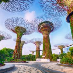 Friends of Singapore 2024 - Singapore Tourism Board with We. Communications