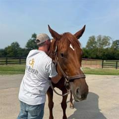 Harnessing Hope - Stable Recovery with Sachs Media, Inc.