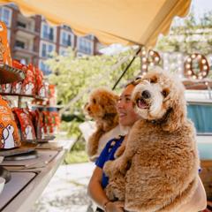 Lilyland: the first foodtruckfestival for dogs - Lily's Kitchen with NewsLab B.V.