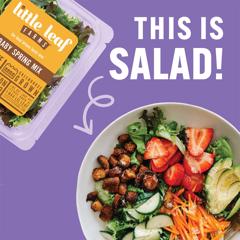 Little Leaf Farms Asks: Is it Salad? - Little Leaf Farms with 360PR 