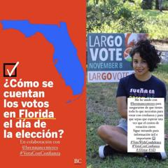 Midterm Disinformation and Voter Education Strategy - Brennan Center for Justice with Precision Strategies