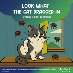 NexGard Singapore Pet Health Campaign - Boehringer Ingelheim with GCI Health 