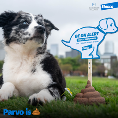 Parvo is Poop - Elanco Animal Health with FleishmanHillard