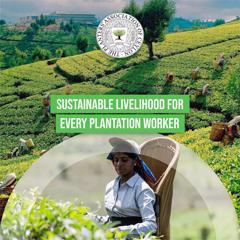 Sustainable Livelihood for Every Plantation Worker - Planters’ Association of Ceylon with Adfactors Public Relations Lanka (Private) Ltd