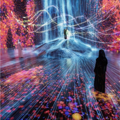 teamLab Borderless Jeddah Museum - teamLab with SEC Newgate Middle East 