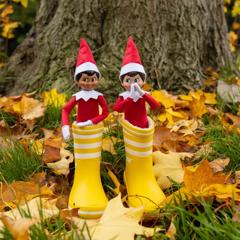 The Elf on the Shelf: Spreading Cheer, One Shelf at a Time  - The Elf on the Shelf with Mason Williams
