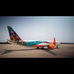 The Flying Canvas - Air India Express with 