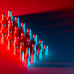 The Polarisation Tracker - N/A with MHP Group