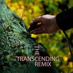 The Trancending Remix - Malmö stad with Gullers Grupp
