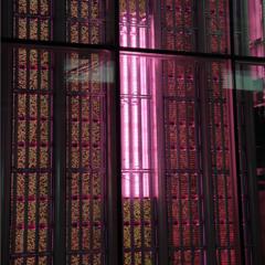 The World’s First Robot-Run Farm - AutoStore with VSC