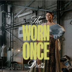 The Worn Once Dress - Northern Playground with TRY