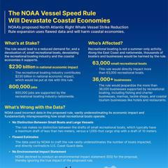 Turning the Tide: How NMMA & Zeno Group Saved an American Industry - National Marine Manufacturers Association (NMMA) with Zeno Group    