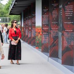 USAA Poppy Wall of Honor - USAA with 160over90